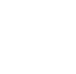 FING_logo