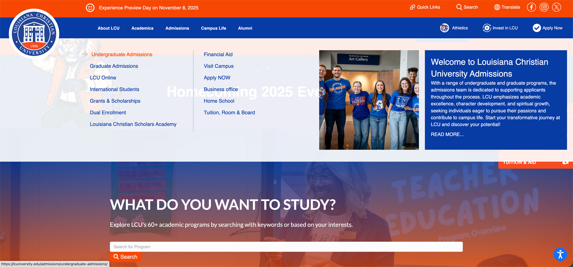 <b>Website -</b> <br>Custom graphic design and page layout.